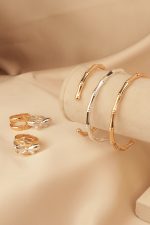 بنگل استخانی - تصویر 4