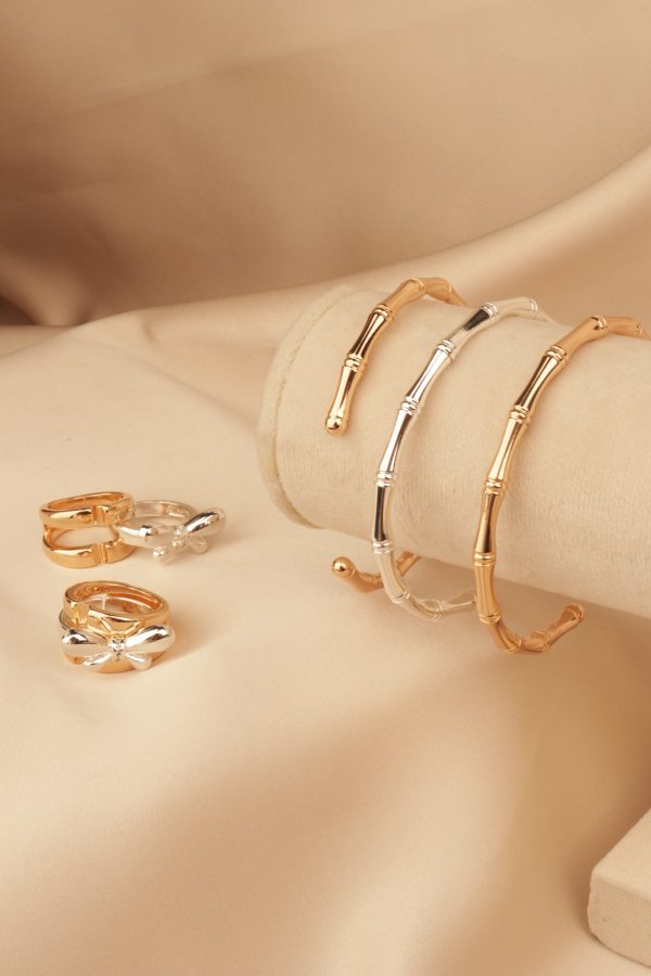 بنگل استخانی - تصویر 4