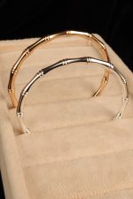 بنگل استخانی - تصویر 3