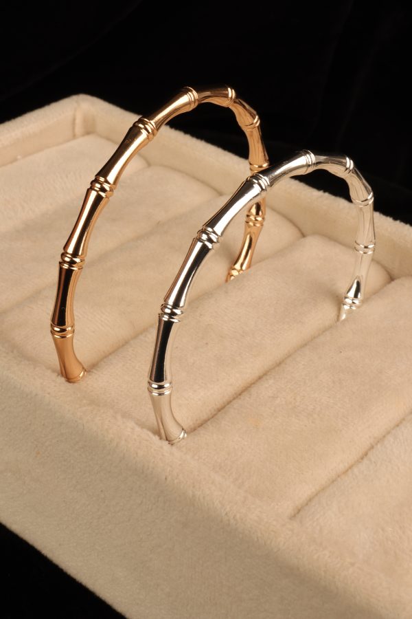 IMG_6594 بنگل استخانی - تصویر 1