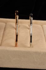 بنگل استخانی - تصویر 2