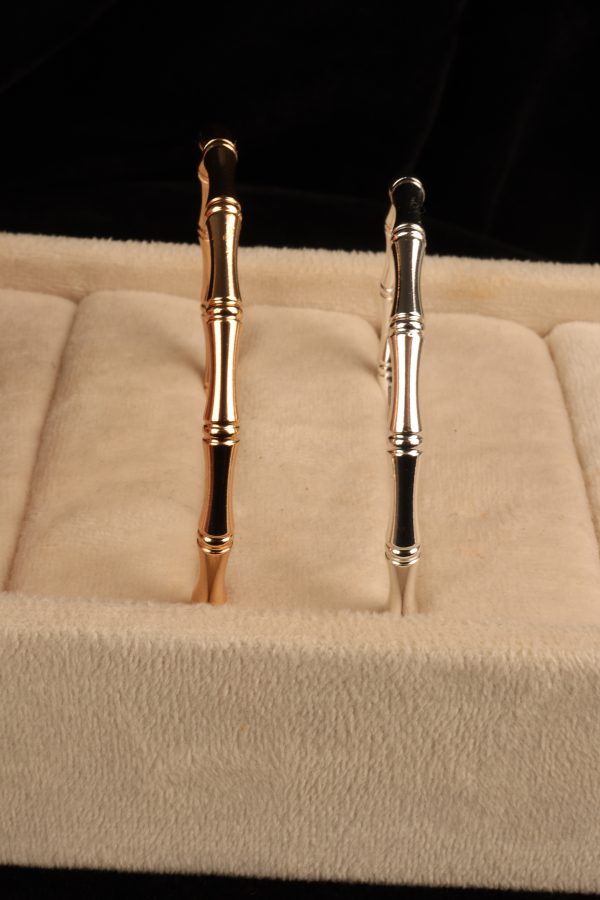 بنگل استخانی - تصویر 2