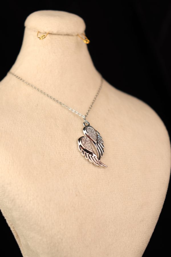 بال شخینا - تصویر 2